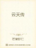 云天传